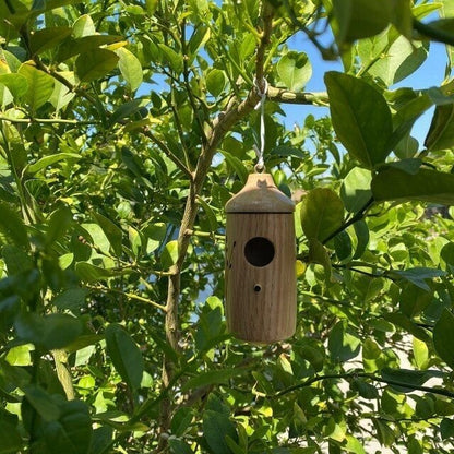 LUMANEE® Wooden Hummingbird House (Set 3 Pcs)