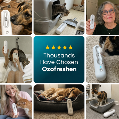 OzoFreshen
